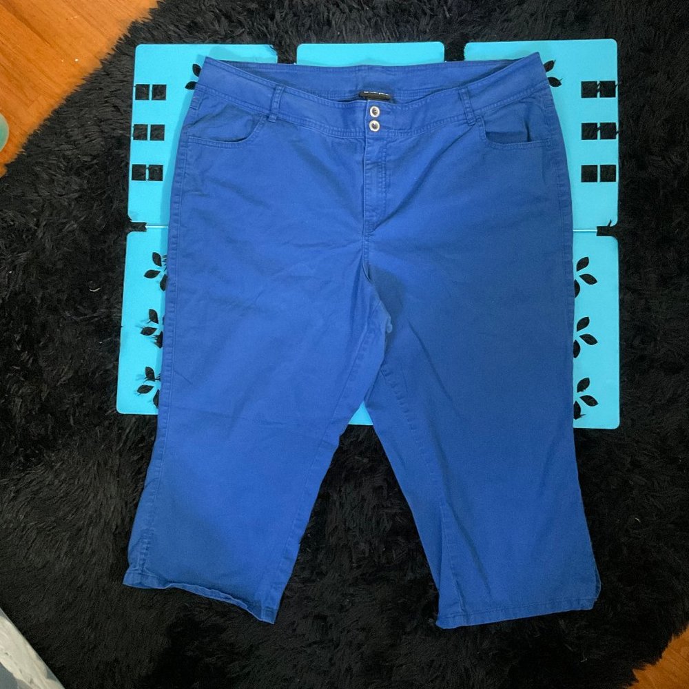 Lane Bryant Womens Blue Double Buttons Pockets Cropped Casual Pants